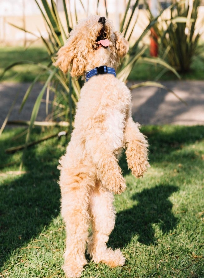 AojSup 20 Pcs Puppy Collars for Litter, Reflective Puppy Collars Adjustable Puppy ID Collars Soft Nylon Whelping Collars for Newborn Litter Puppy Pets-Reflective, Small - Image 4